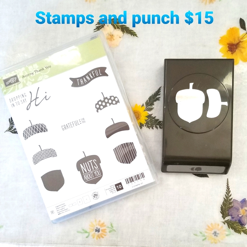 Stampin Up Clear Mount Stamps and Punch